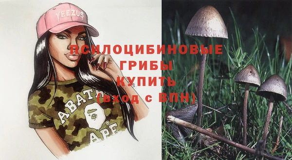 бошки Баксан