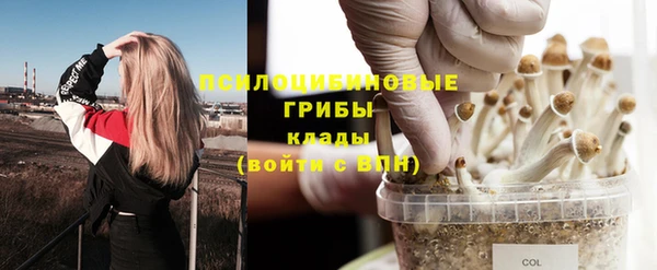 бошки Баксан